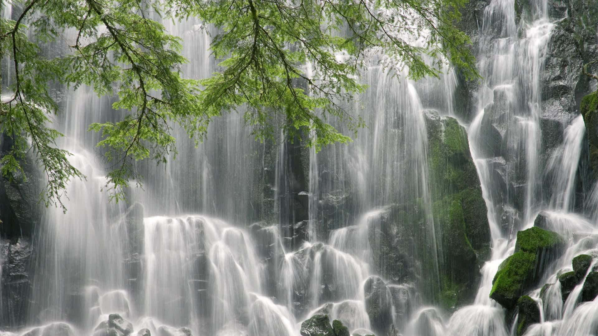 世界体能训练成果转化：训练模型被多家俱乐部采纳，体能训练专业世界排名